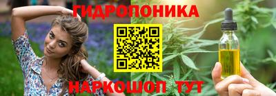 Альфа ПВП Лесосибирск